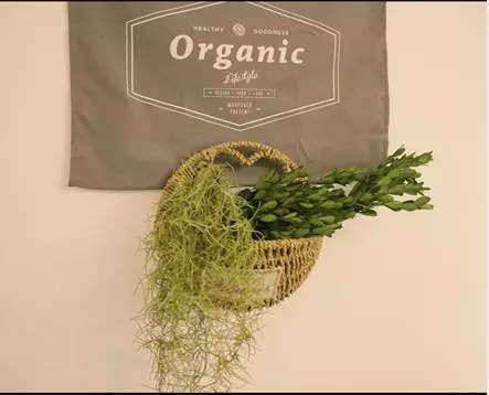 你的家配電箱，所以裝修很漂亮！